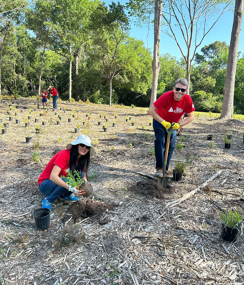 Planting trees